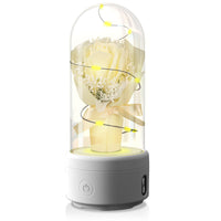 Luminous 2-in-1 Bouquet Light Ornament with Glass Cover & Bluetooth Speaker
