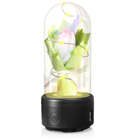 Luminous 2-in-1 Bouquet Light Ornament with Glass Cover & Bluetooth Speaker