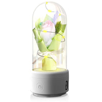 Luminous 2-in-1 Bouquet Light Ornament with Glass Cover & Bluetooth Speaker